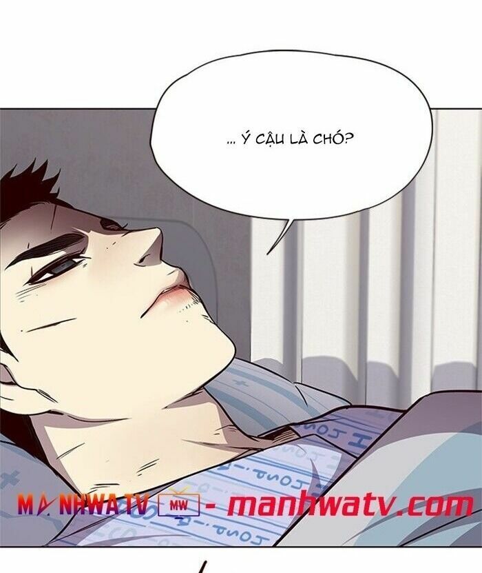 Hoá Thân Thành Mèo: Chapter 46