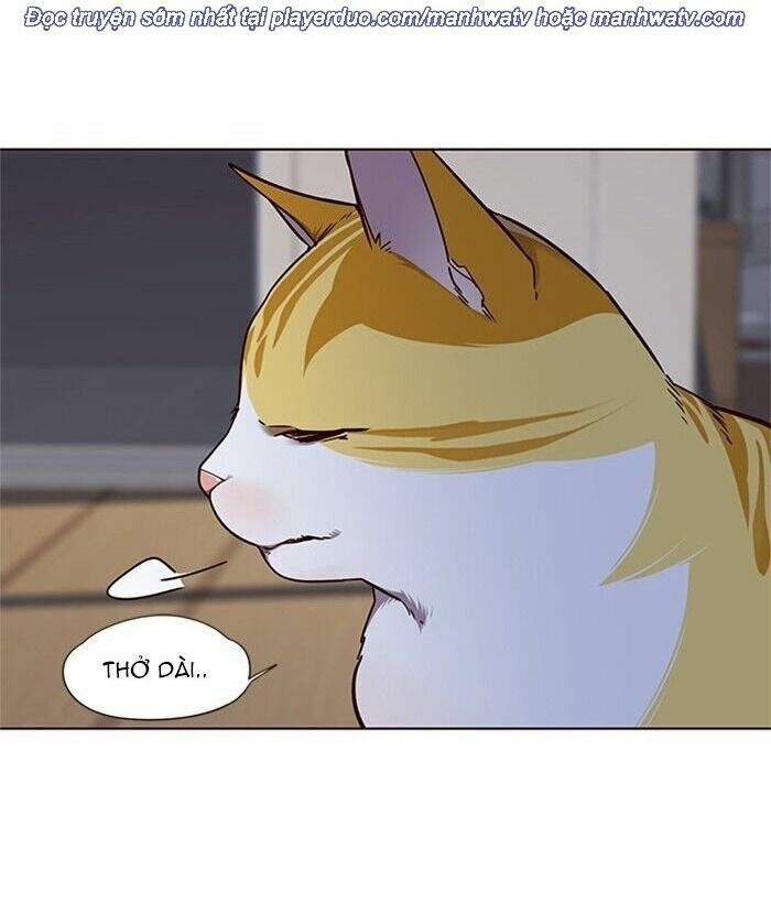 Hoá Thân Thành Mèo: Chapter 46