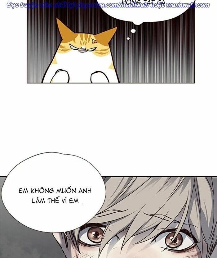 Hoá Thân Thành Mèo: Chapter 46