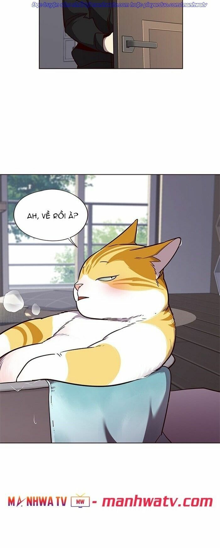 Hoá Thân Thành Mèo: Chapter 47