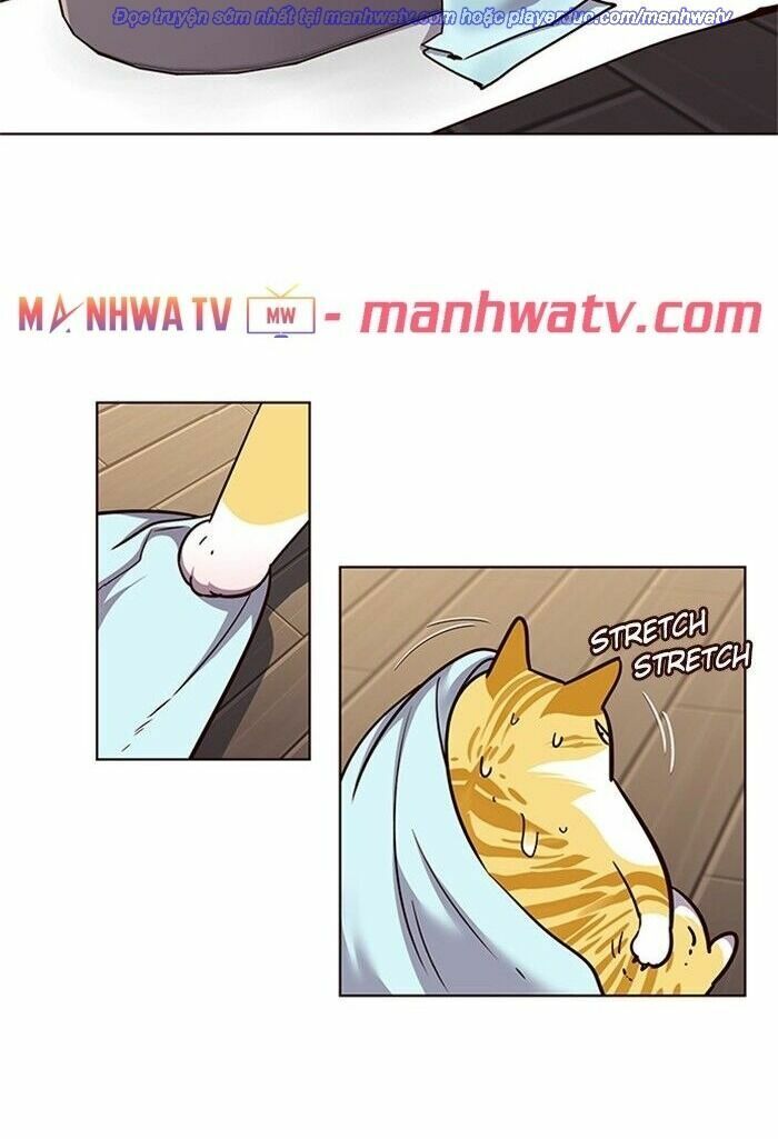 Hoá Thân Thành Mèo: Chapter 47