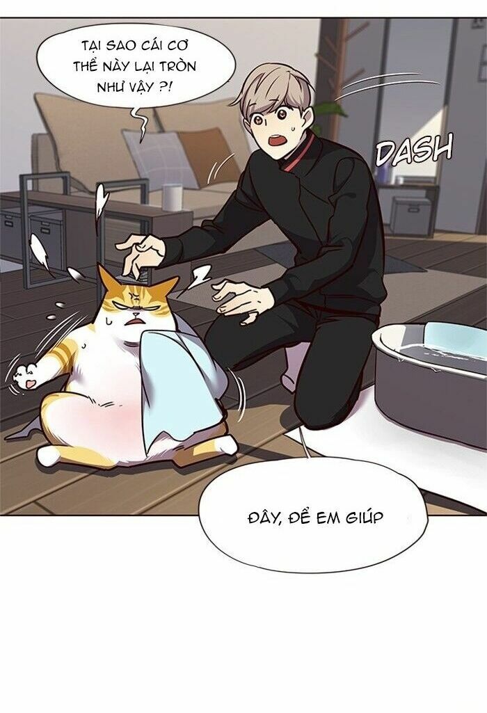 Hoá Thân Thành Mèo: Chapter 47