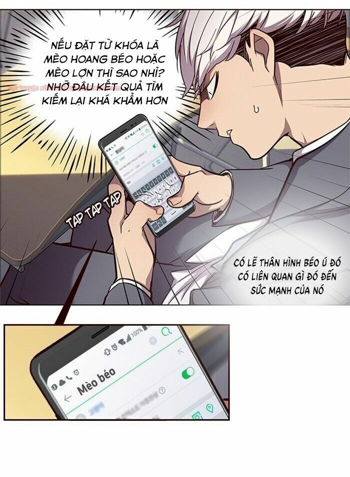 Hoá Thân Thành Mèo: Chapter 48