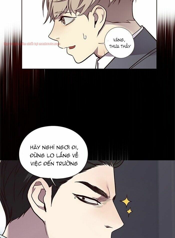 Hoá Thân Thành Mèo: Chapter 48