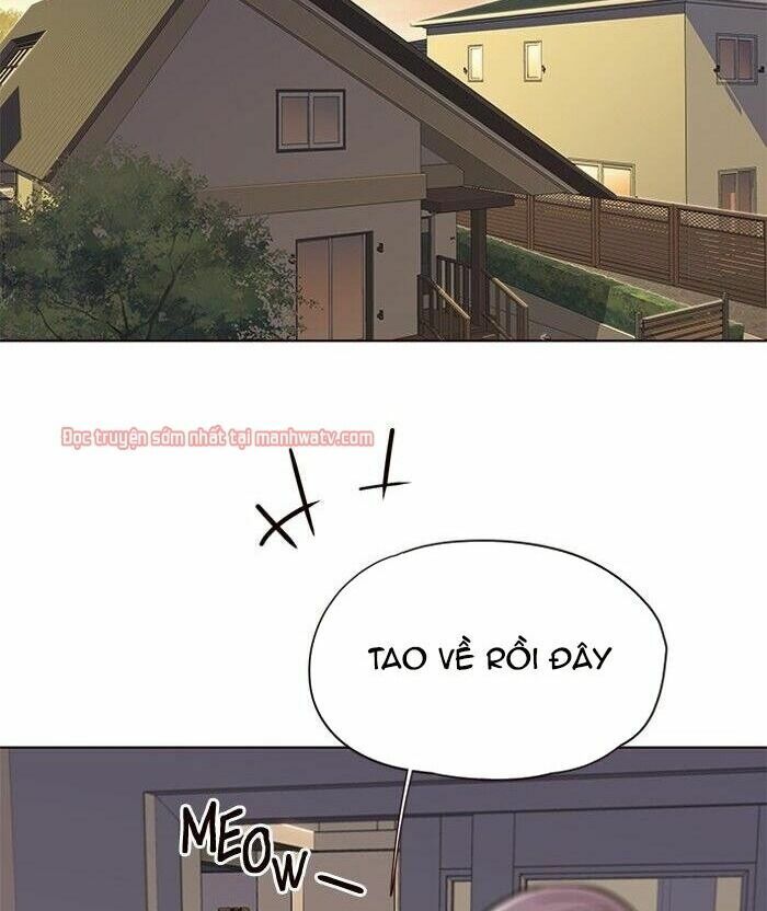 Hoá Thân Thành Mèo: Chapter 49