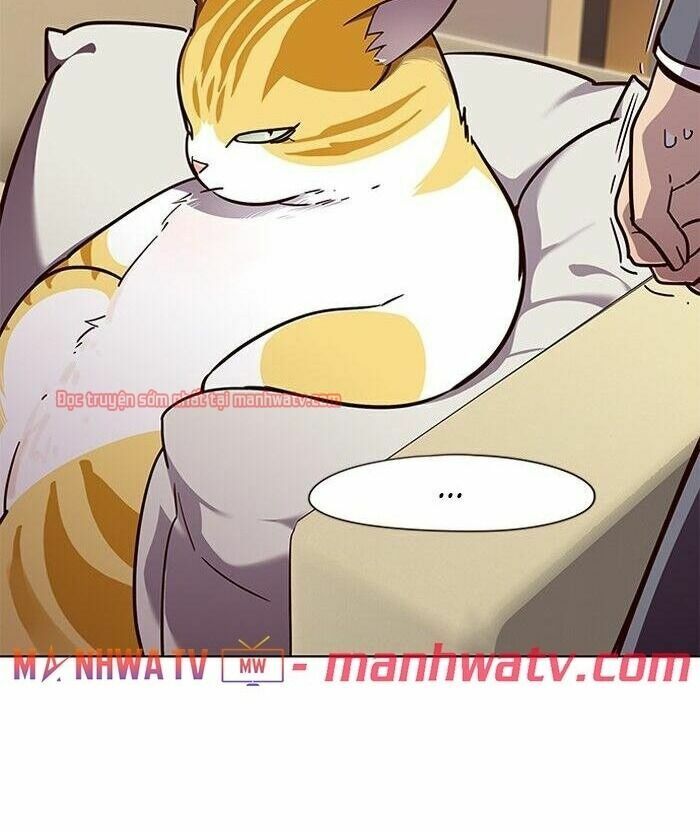 Hoá Thân Thành Mèo: Chapter 49