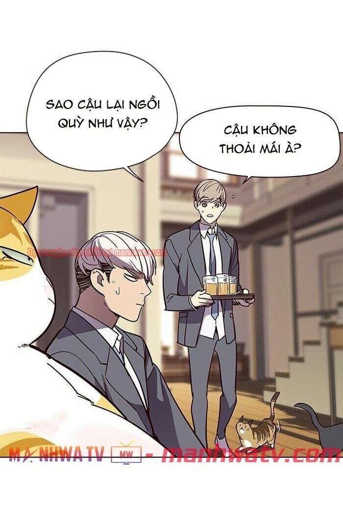 Hoá Thân Thành Mèo: Chapter 49