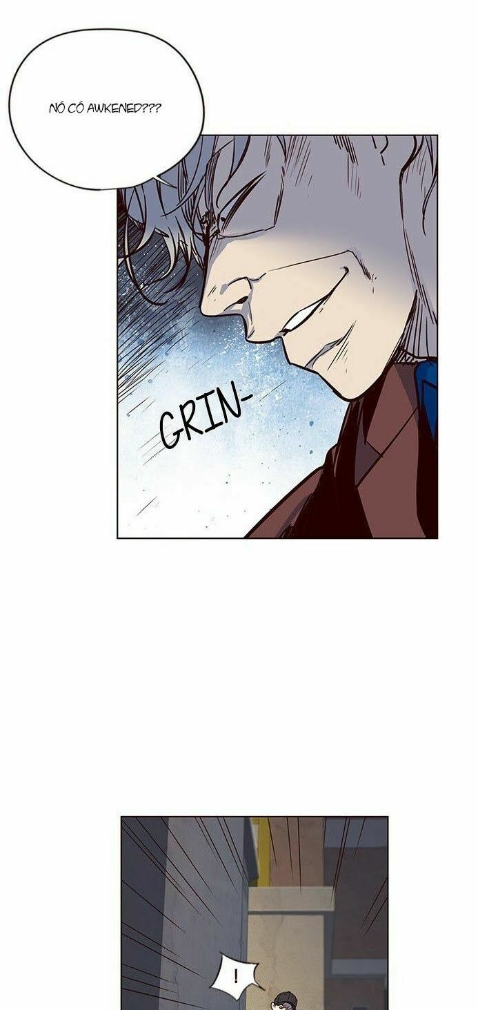 Hoá Thân Thành Mèo: Chapter 5