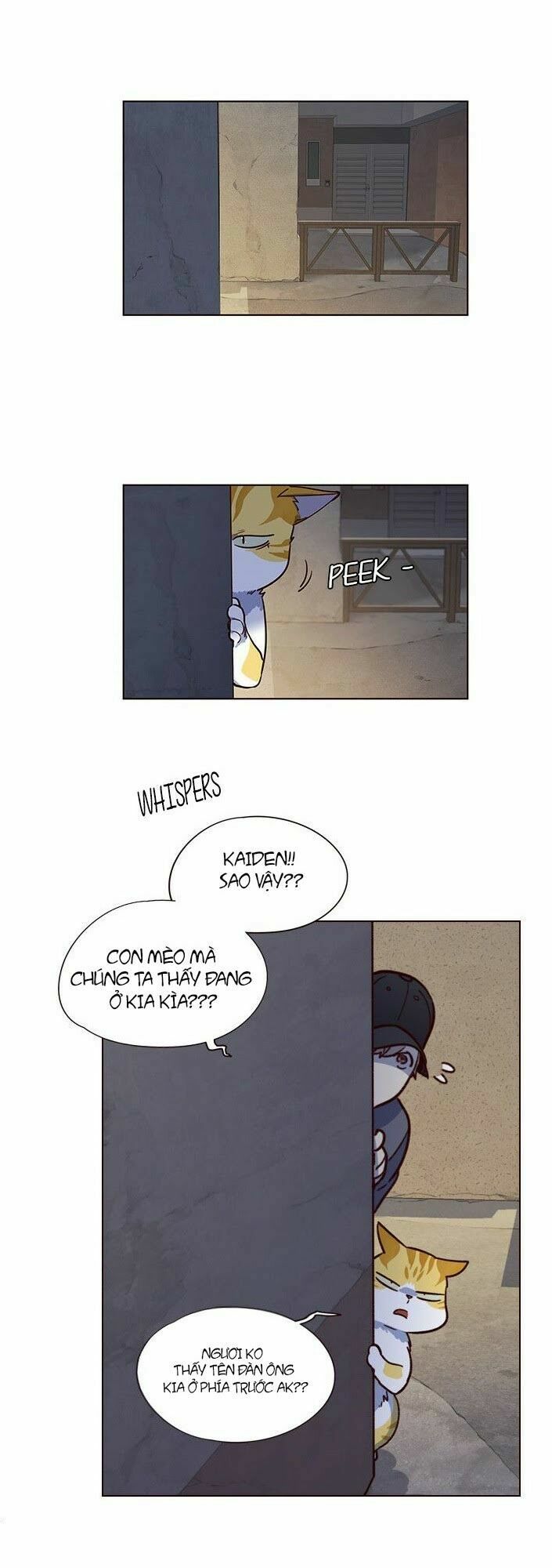 Hoá Thân Thành Mèo: Chapter 5