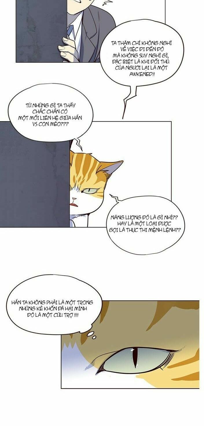 Hoá Thân Thành Mèo: Chapter 5