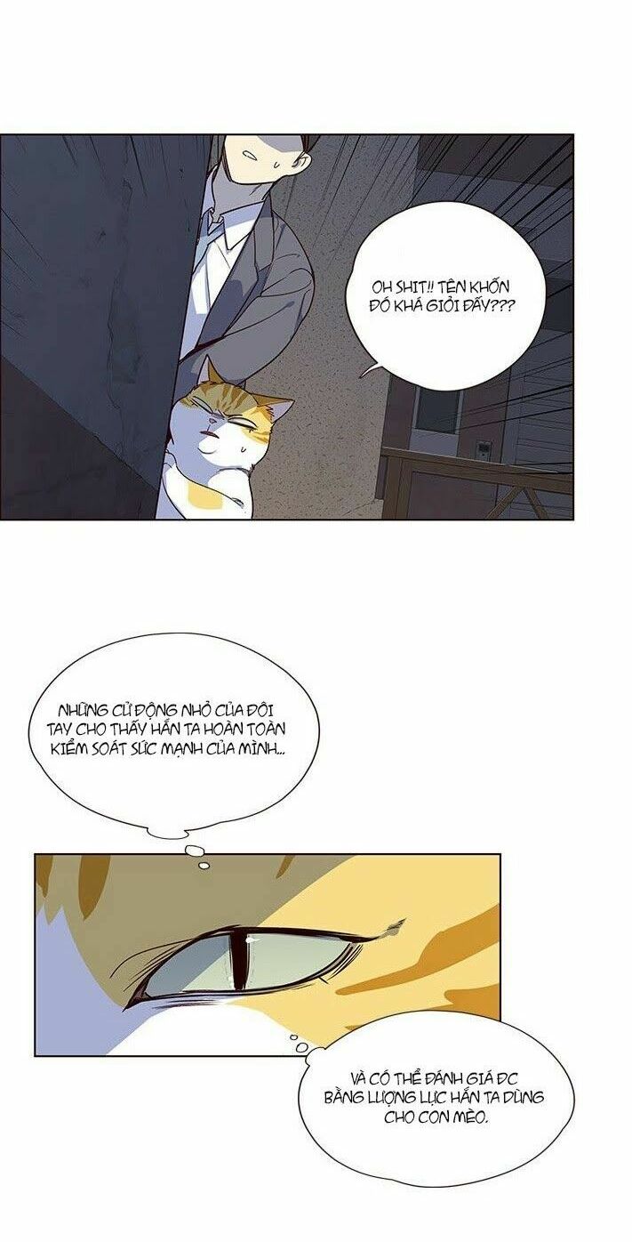 Hoá Thân Thành Mèo: Chapter 5