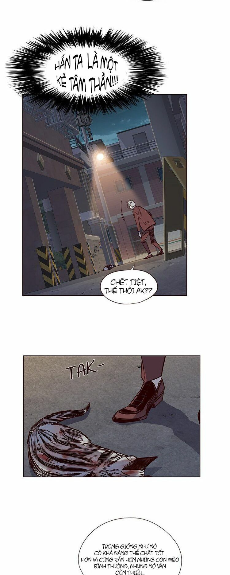 Hoá Thân Thành Mèo: Chapter 5