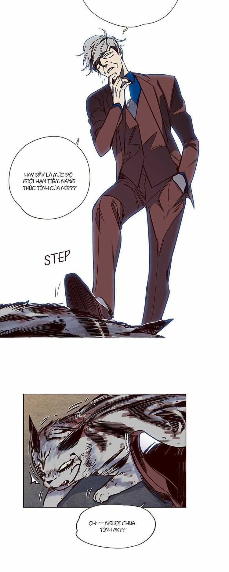 Hoá Thân Thành Mèo: Chapter 5
