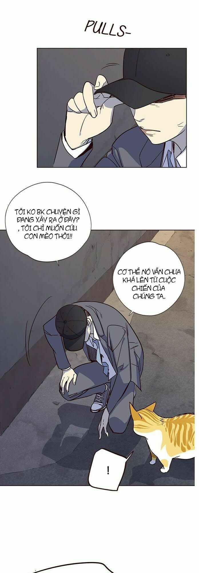 Hoá Thân Thành Mèo: Chapter 5