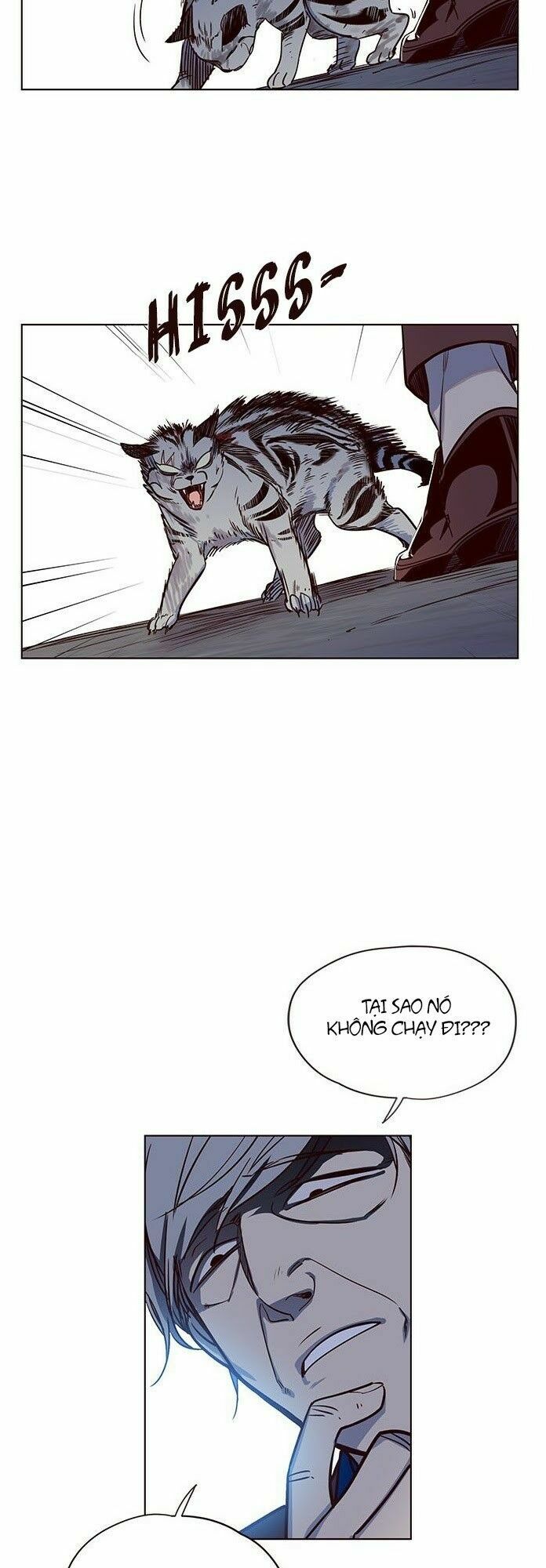 Hoá Thân Thành Mèo: Chapter 5