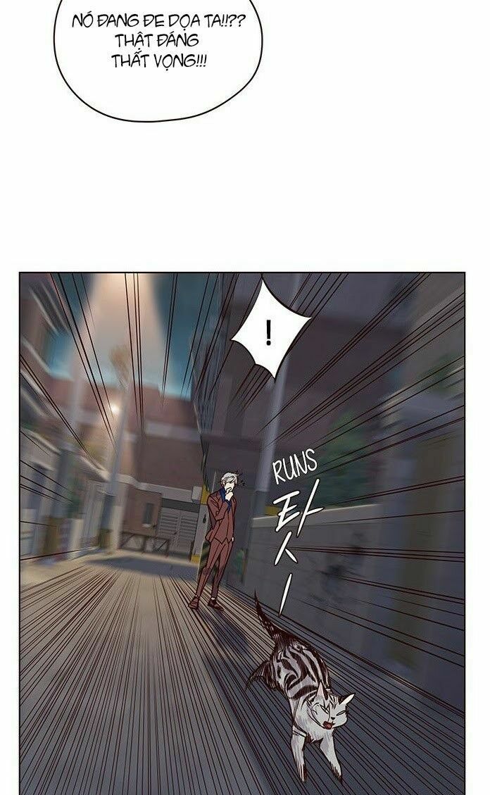 Hoá Thân Thành Mèo: Chapter 5