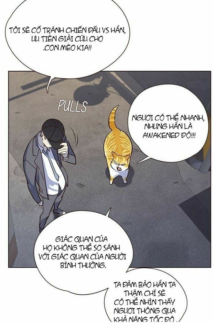 Hoá Thân Thành Mèo: Chapter 5