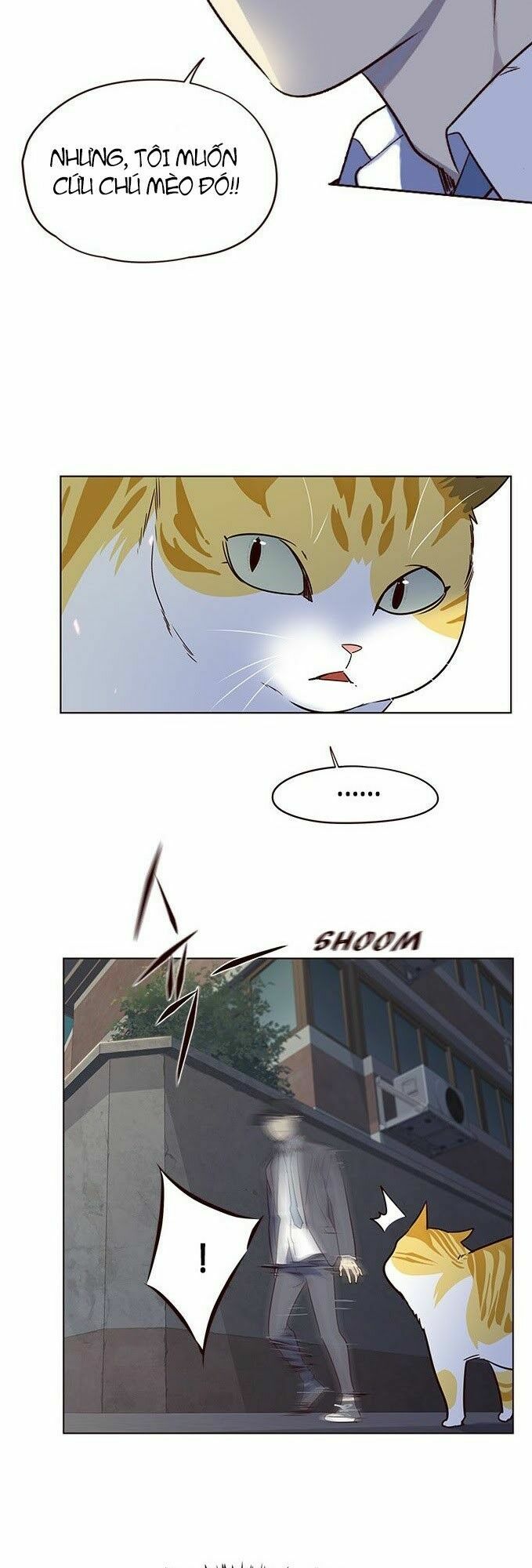 Hoá Thân Thành Mèo: Chapter 5