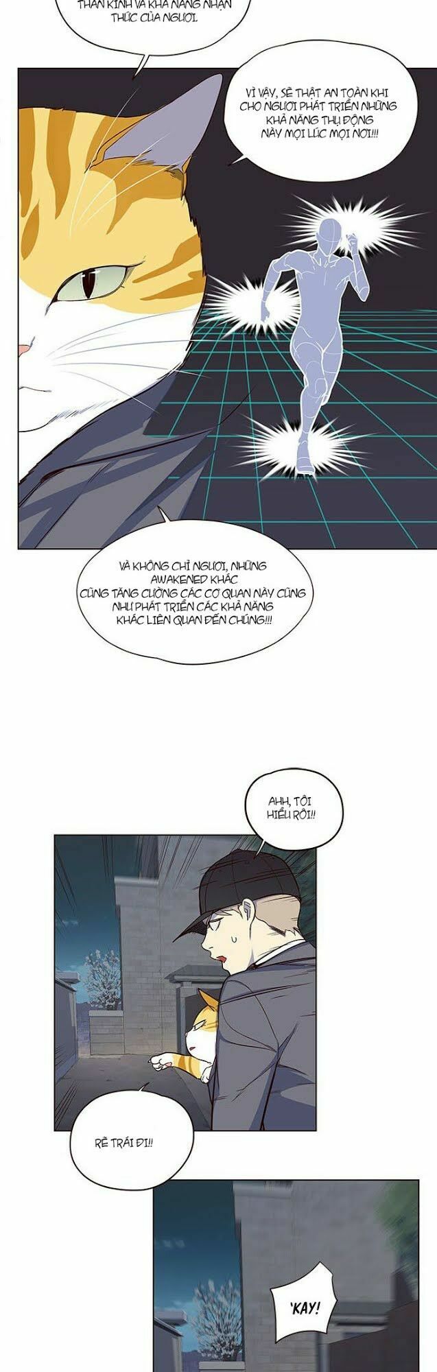 Hoá Thân Thành Mèo: Chapter 5