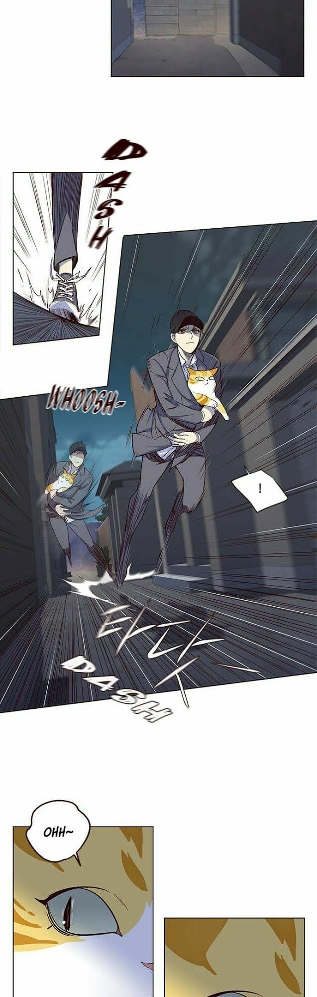 Hoá Thân Thành Mèo: Chapter 5