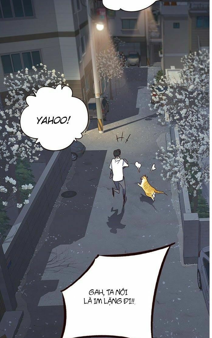 Hoá Thân Thành Mèo: Chapter 5