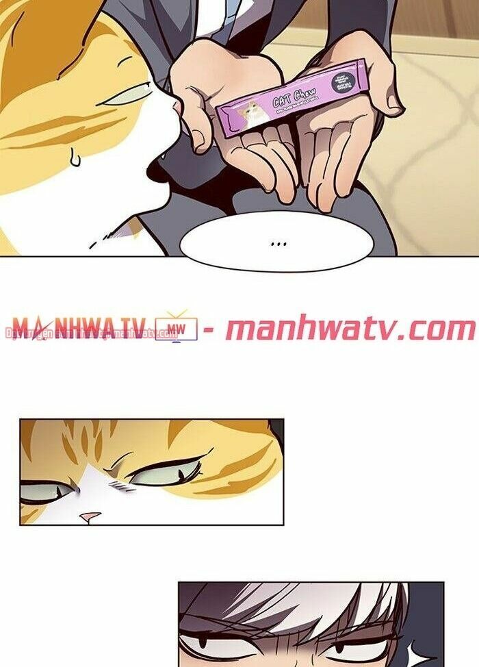 Hoá Thân Thành Mèo: Chapter 50