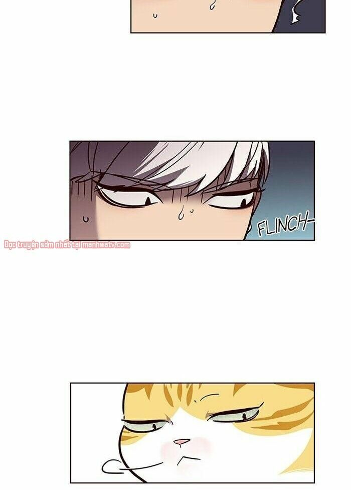 Hoá Thân Thành Mèo: Chapter 50