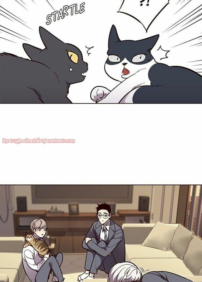 Hoá Thân Thành Mèo: Chapter 50