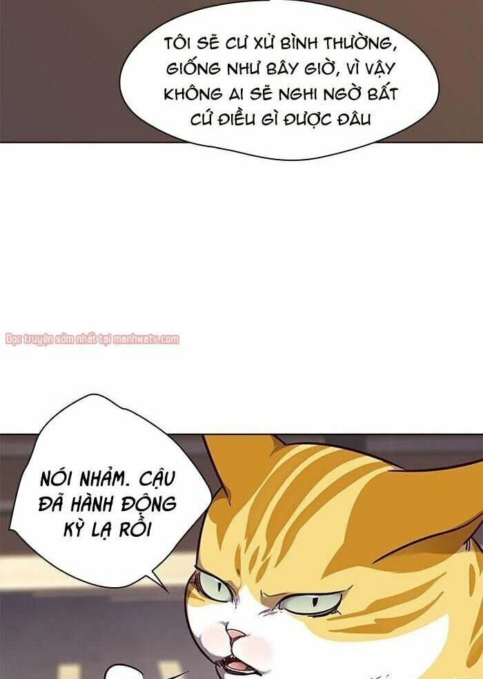 Hoá Thân Thành Mèo: Chapter 50