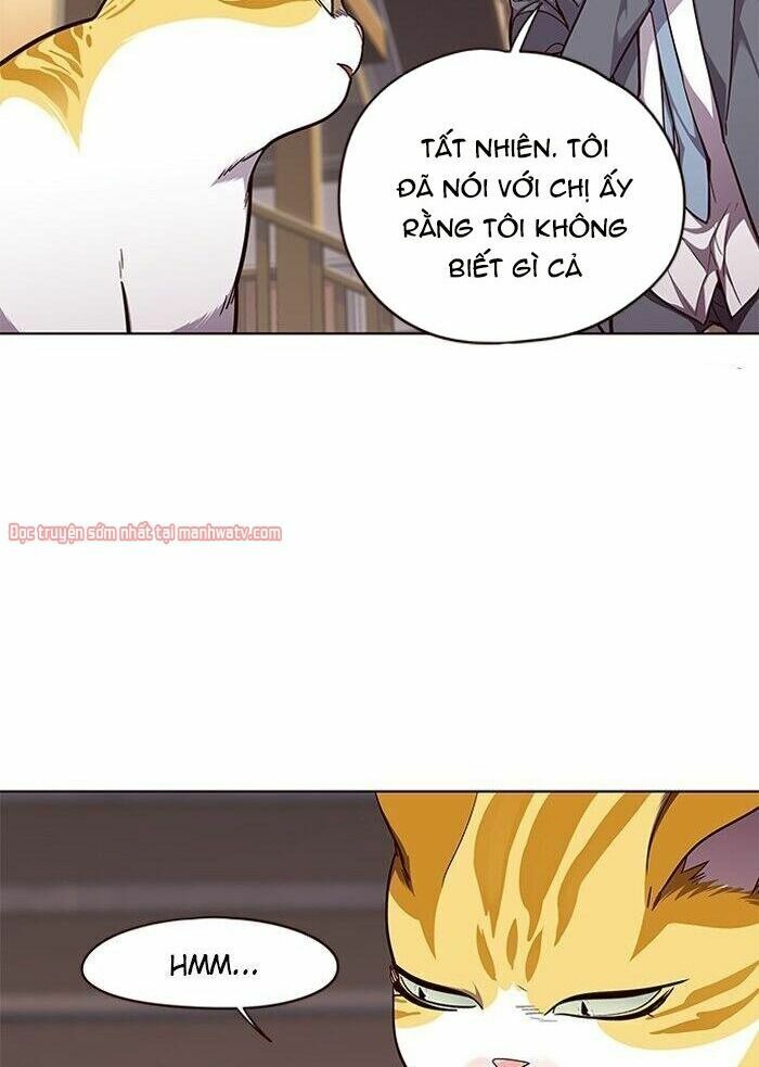 Hoá Thân Thành Mèo: Chapter 50