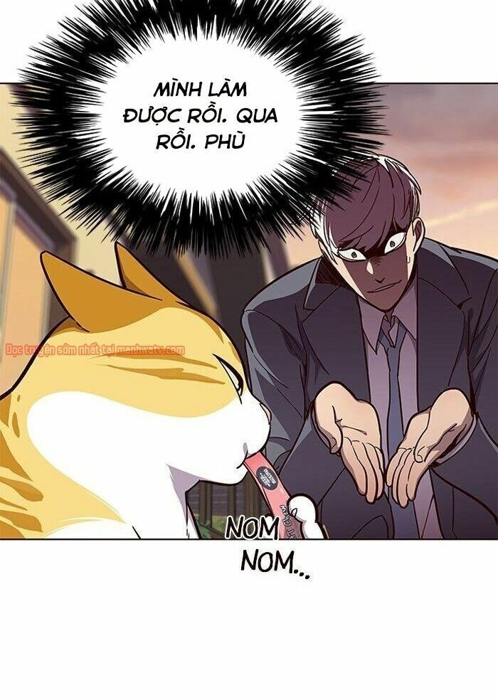 Hoá Thân Thành Mèo: Chapter 50