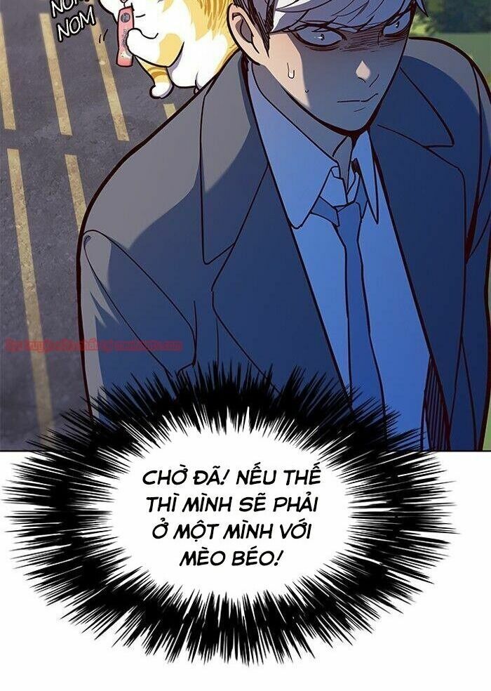 Hoá Thân Thành Mèo: Chapter 50