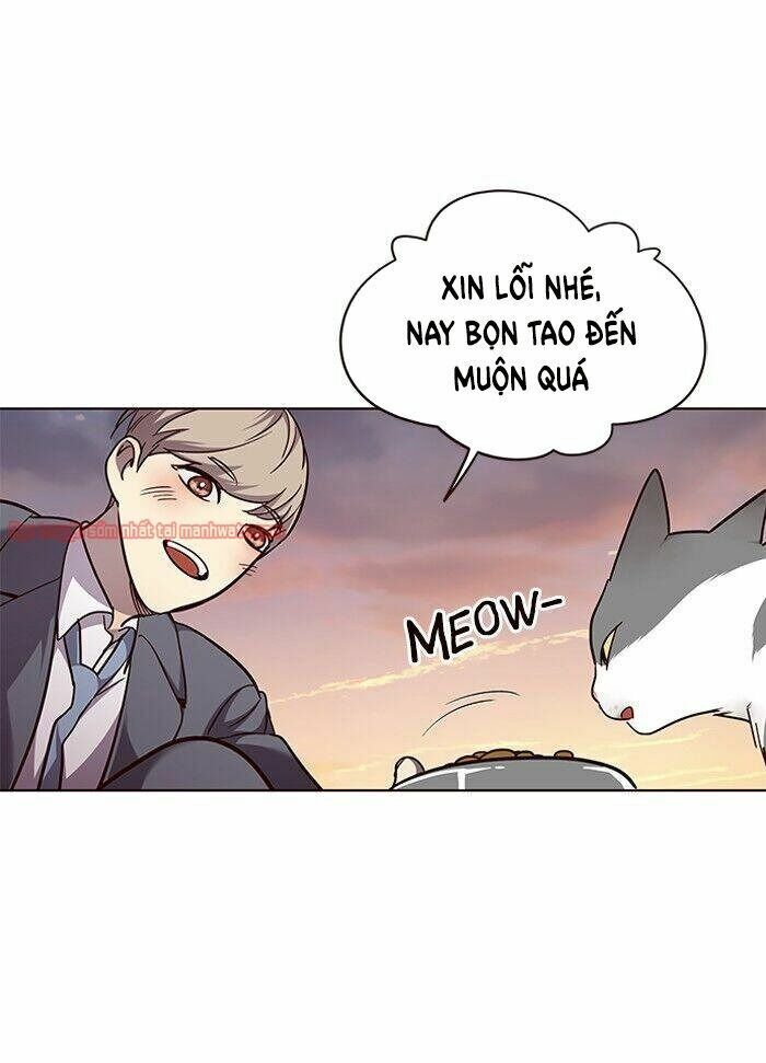 Hoá Thân Thành Mèo: Chapter 50