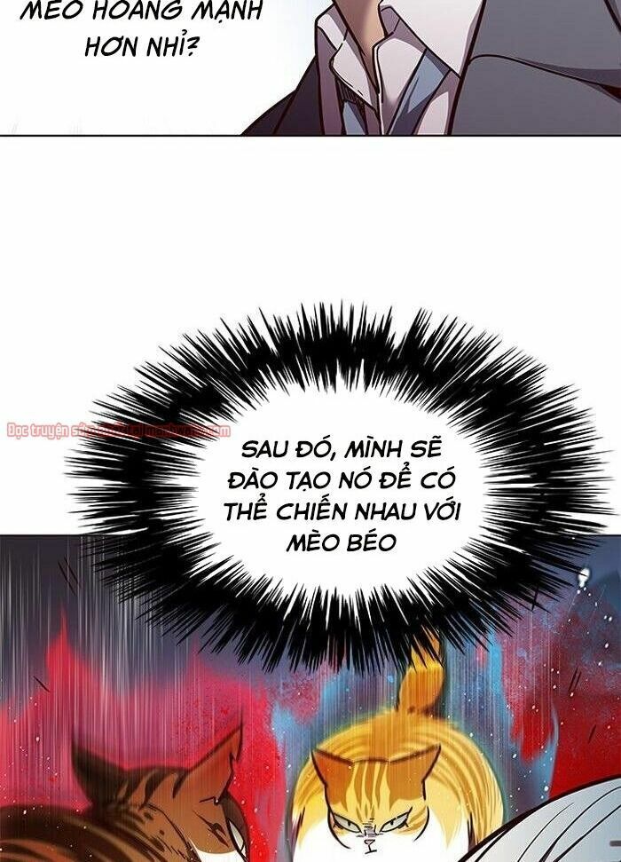Hoá Thân Thành Mèo: Chapter 50