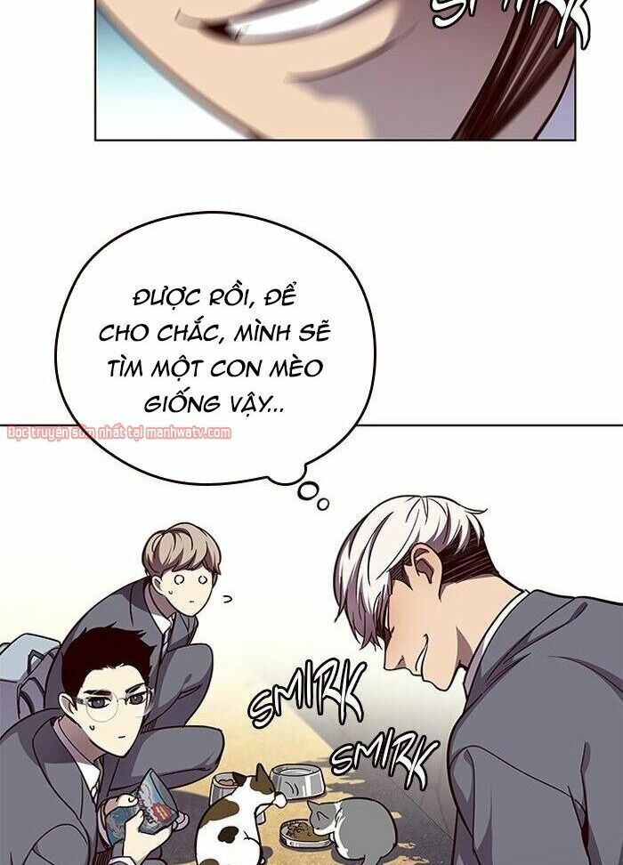 Hoá Thân Thành Mèo: Chapter 50