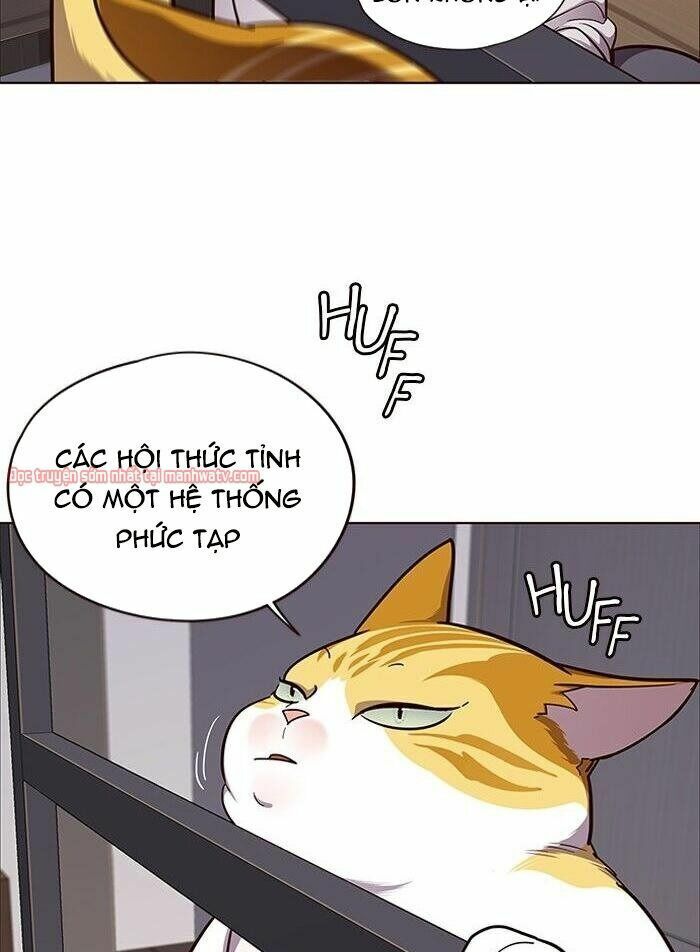 Hoá Thân Thành Mèo: Chapter 51