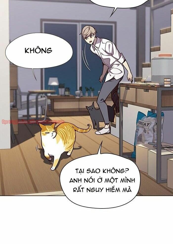 Hoá Thân Thành Mèo: Chapter 51