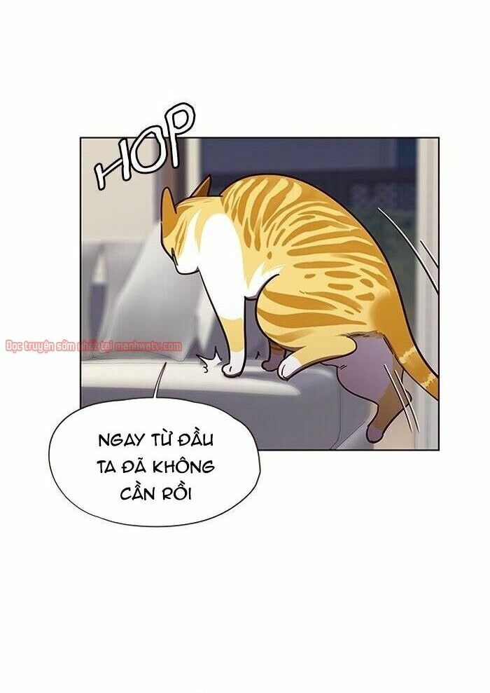 Hoá Thân Thành Mèo: Chapter 51