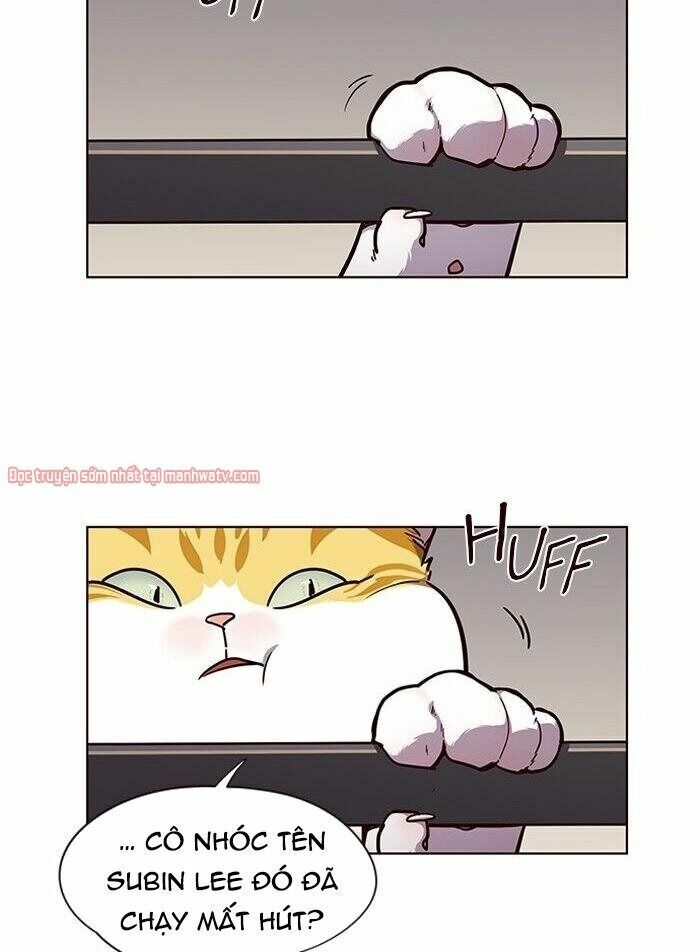 Hoá Thân Thành Mèo: Chapter 51