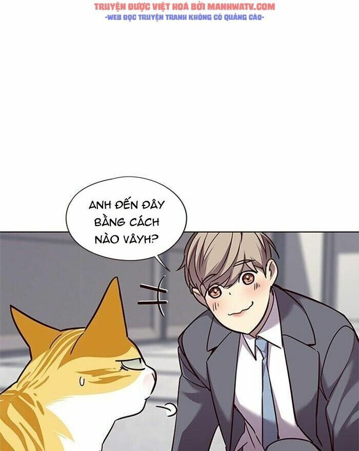 Hoá Thân Thành Mèo: Chapter 52