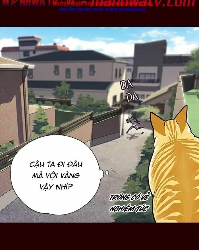 Hoá Thân Thành Mèo: Chapter 52