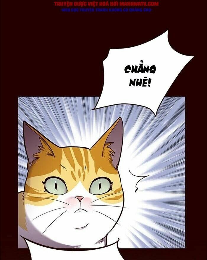 Hoá Thân Thành Mèo: Chapter 52