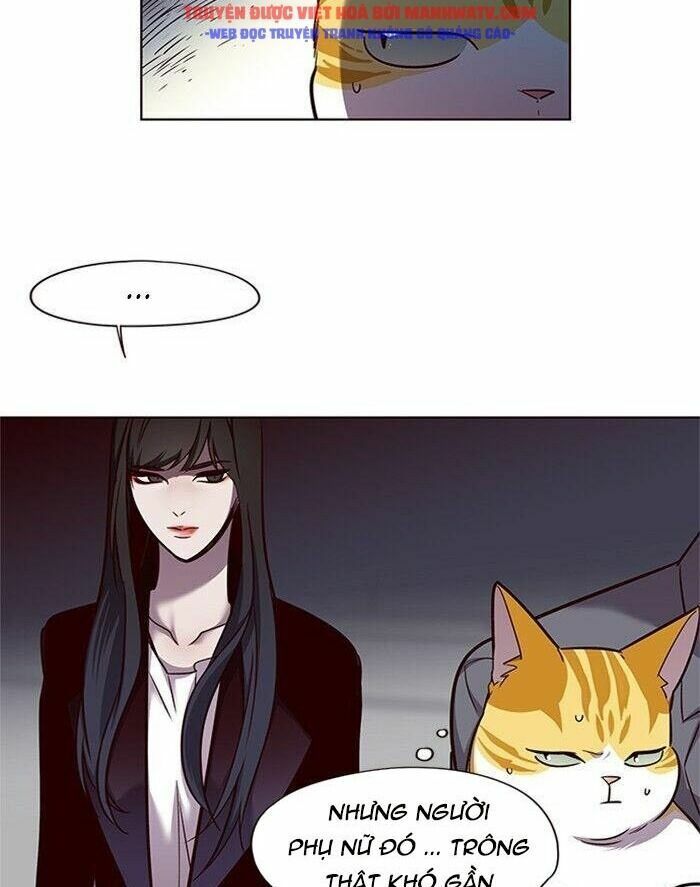 Hoá Thân Thành Mèo: Chapter 52
