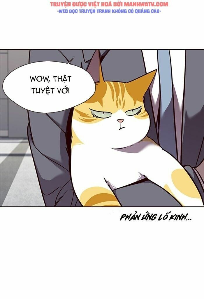 Hoá Thân Thành Mèo: Chapter 53