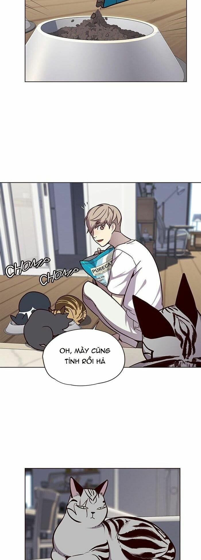 Hoá Thân Thành Mèo: Chapter 55