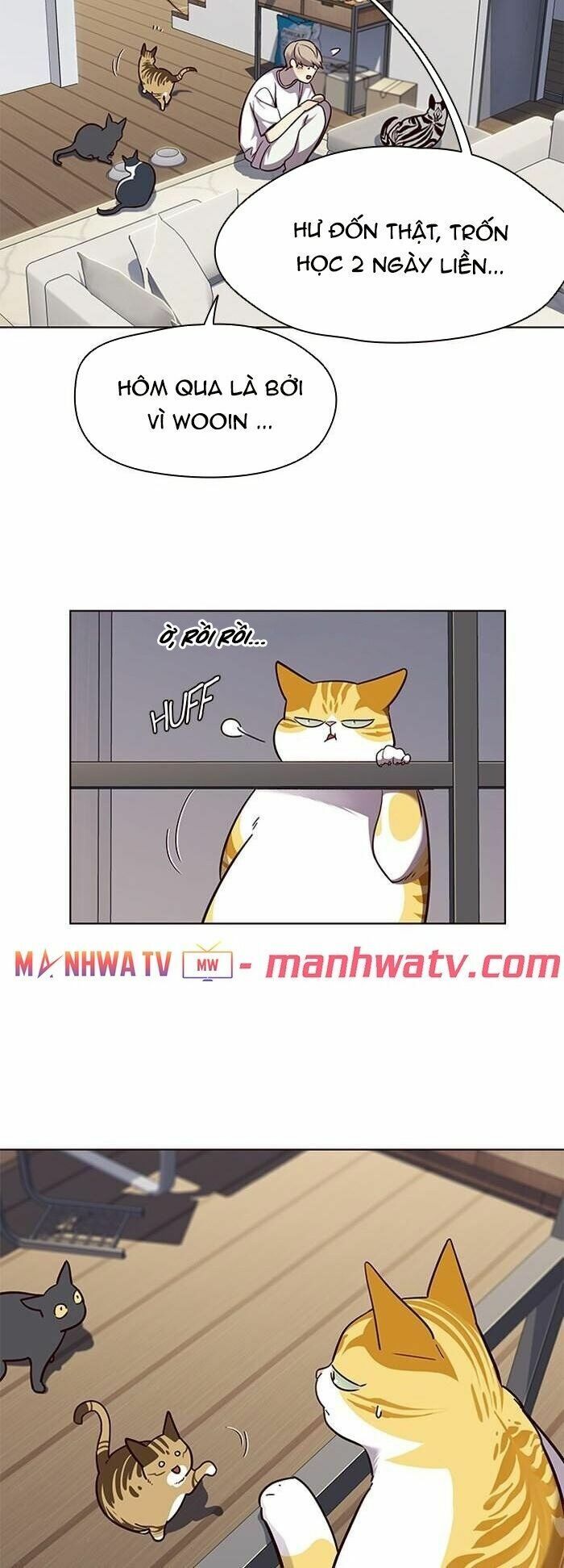 Hoá Thân Thành Mèo: Chapter 55