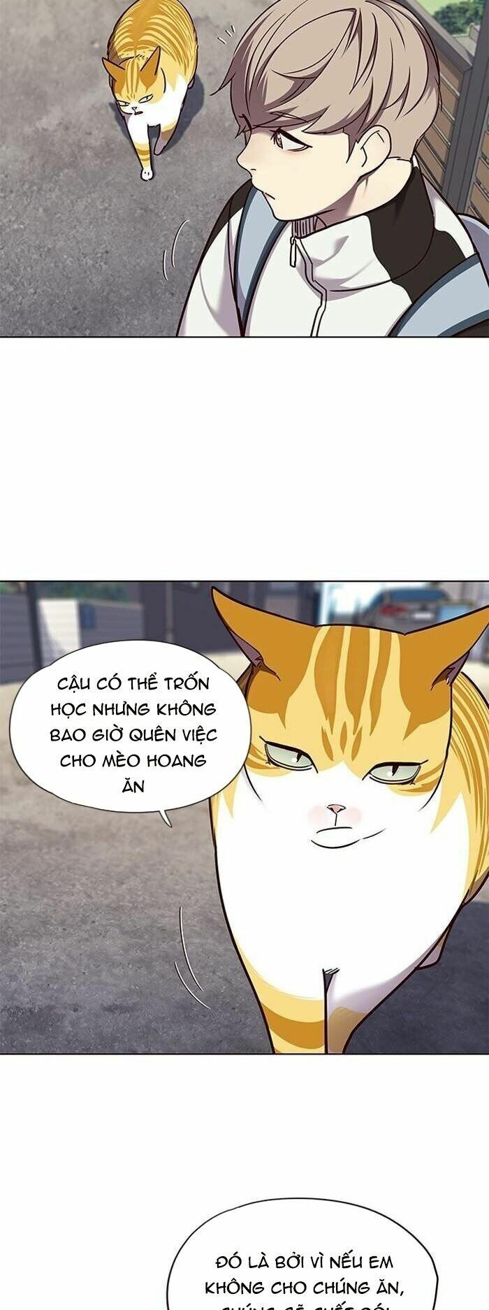 Hoá Thân Thành Mèo: Chapter 55