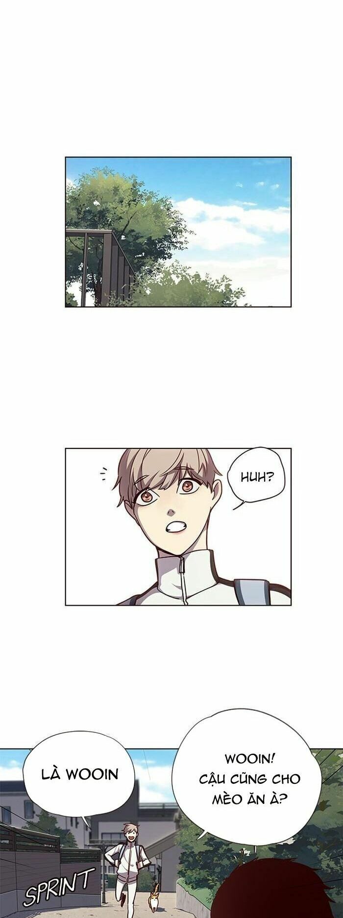 Hoá Thân Thành Mèo: Chapter 55