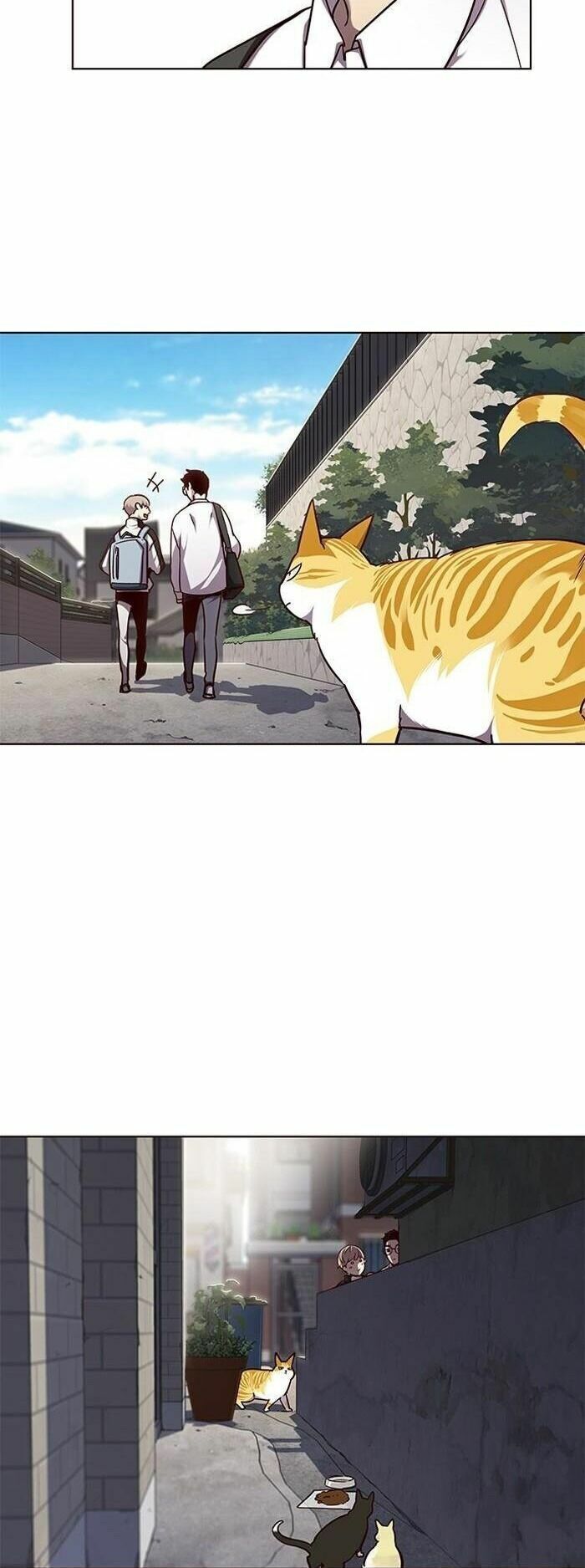 Hoá Thân Thành Mèo: Chapter 55