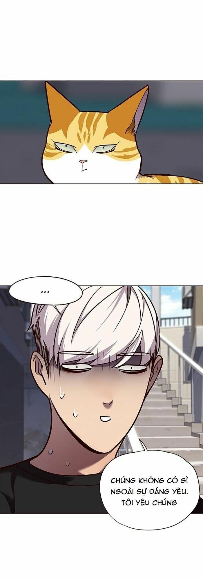 Hoá Thân Thành Mèo: Chapter 55